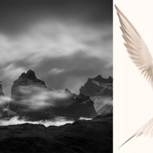 برندگان مسابقه 2026 انجمن عکاسی طبیعت آمریکای شمالی معرفی شدند