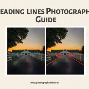 اموزش تکنیک خطوط راهنما در ترکیب بندی عکاسی و نقش ان در هدایت چشم بینده