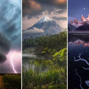 برندگان مسابقه بین المللی عکاس منظره سال 2025با نمایش مجموعه ای از عکس های طبیعت